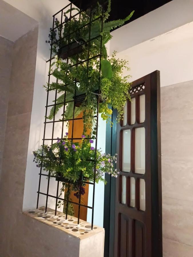 Home Mark Casa Boutique パイパ エクステリア 写真